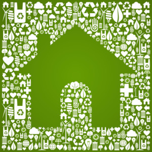 sustainable home building