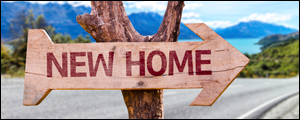 north dallas custom homes
